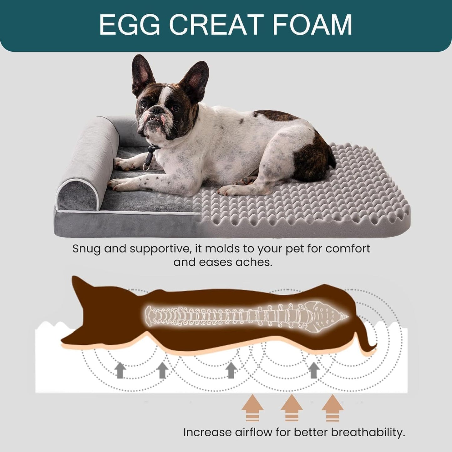 Orthopedic Egg Foam Dog Bed – Waterproof & Washable Sofa for Medium to Large Dogs (40" x 30")