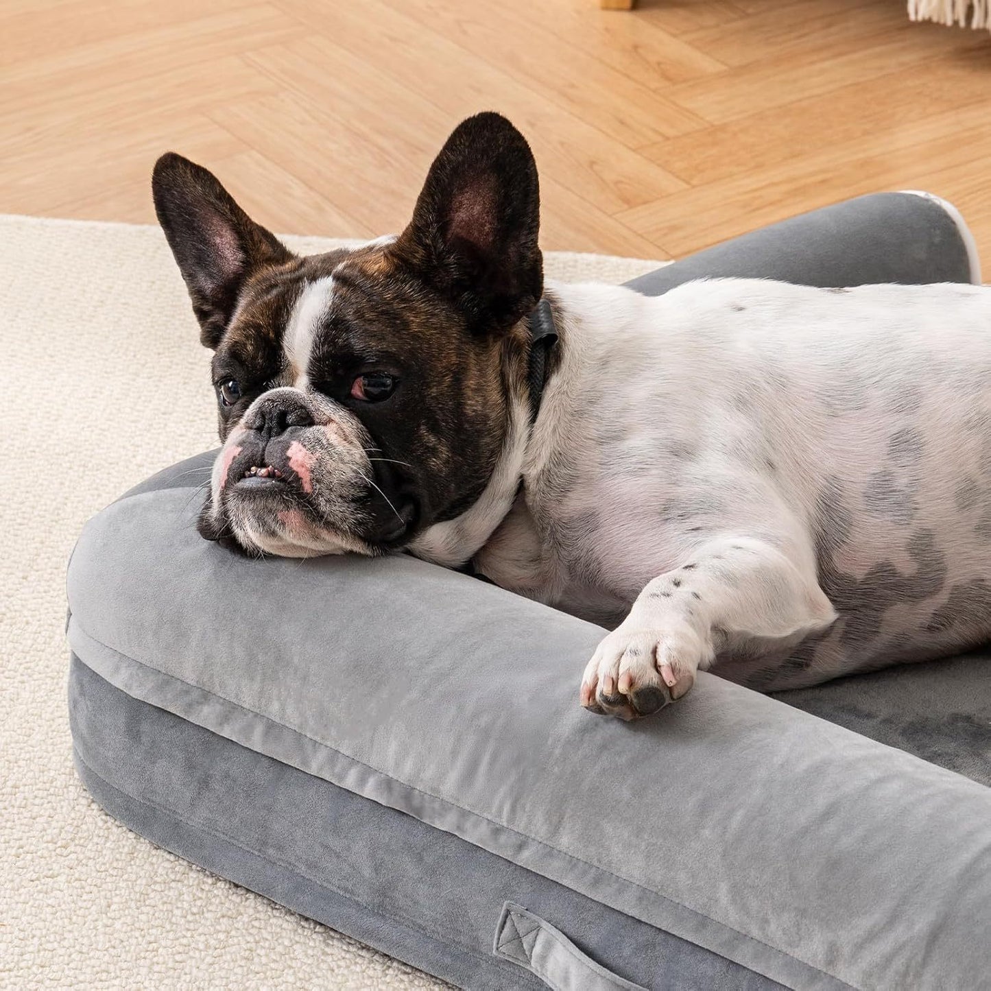 Orthopedic Egg Foam Dog Bed – Waterproof & Washable Sofa for Medium to Large Dogs (40" x 30")